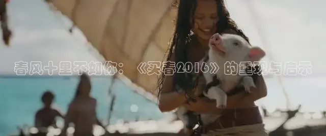 可可影视